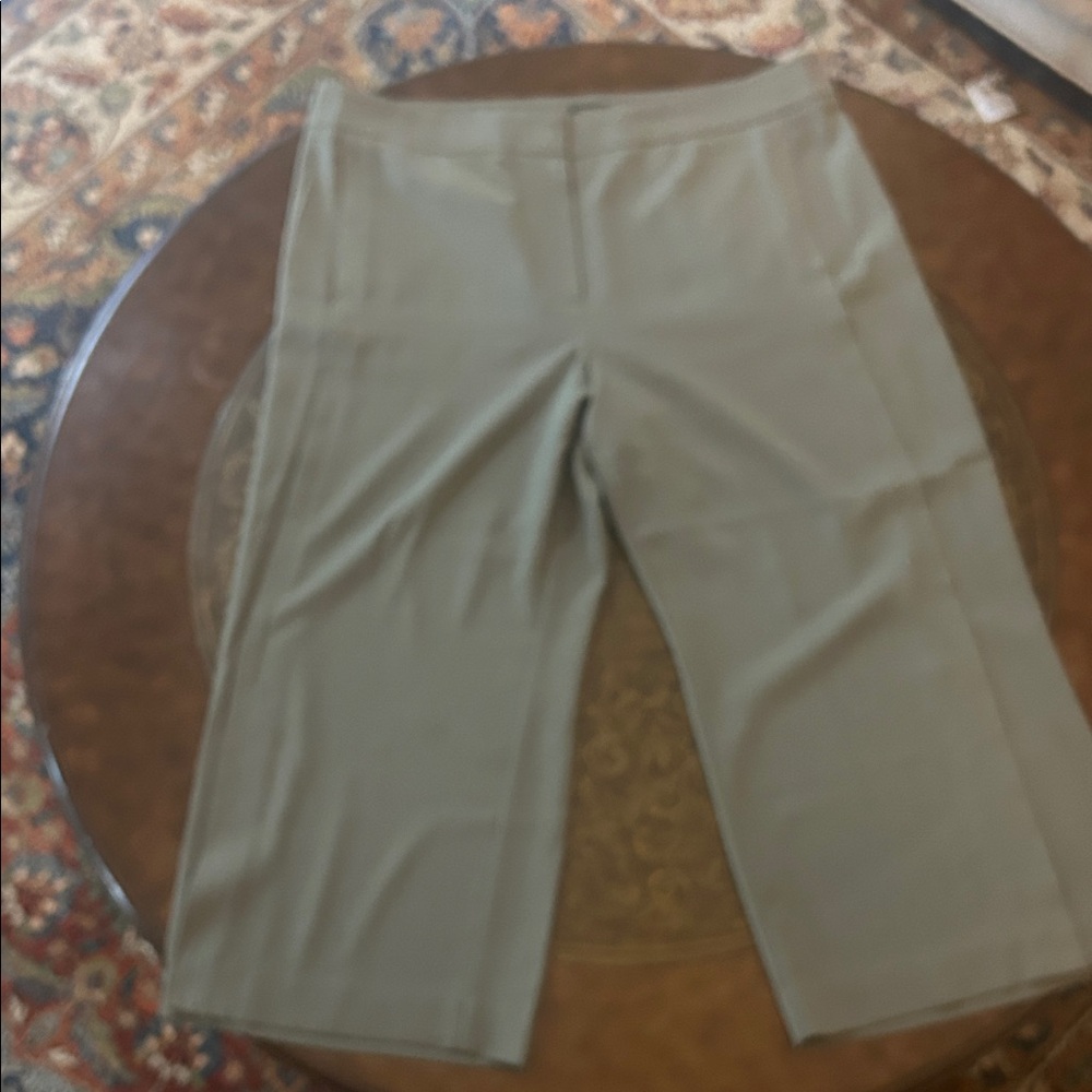 Ann Taylor Factory Sage Cropped Pants